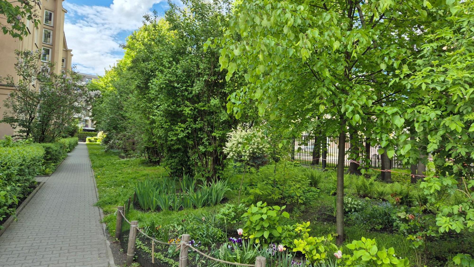 Apartament Daszynskiego クラクフ エクステリア 写真